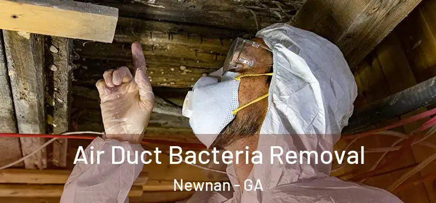  Air Duct Bacteria Removal Newnan - GA