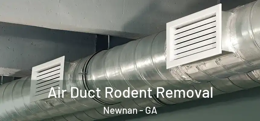  Air Duct Rodent Removal Newnan - GA