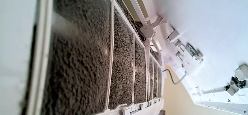 Preventive Air Duct Bacteria Removal in Newnan