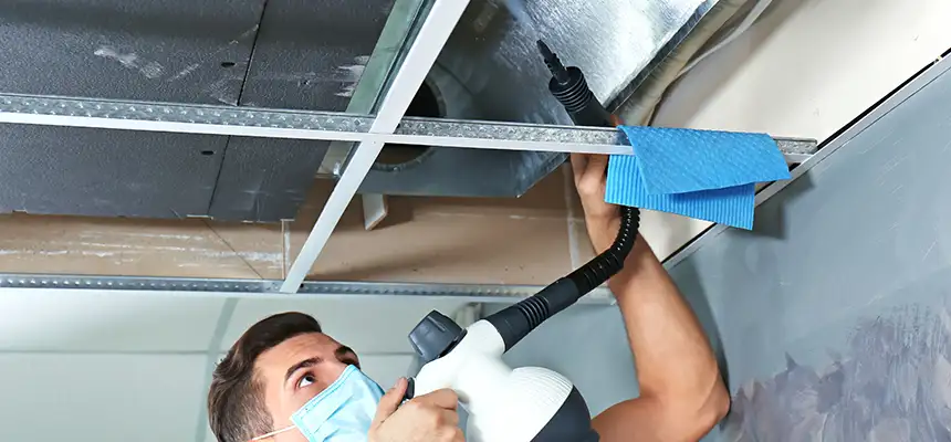 Our Air Duct Rodent Removal Services in Newnan, GA
