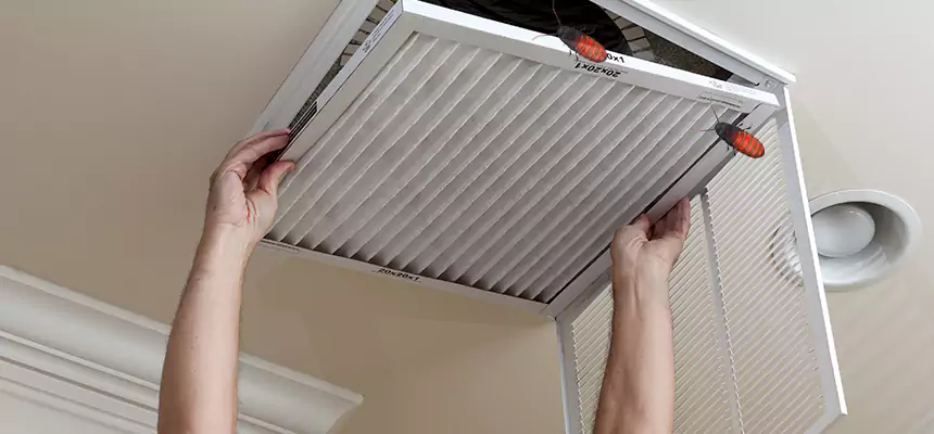 Our Insect Removal from Air Ducts Services in Newnan, GA