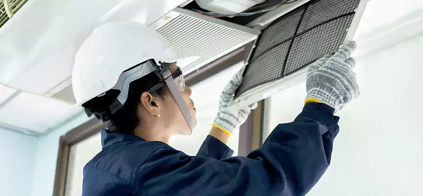 Our Mold & Mildew Removal from Air Ducts Services in Newnan, GA