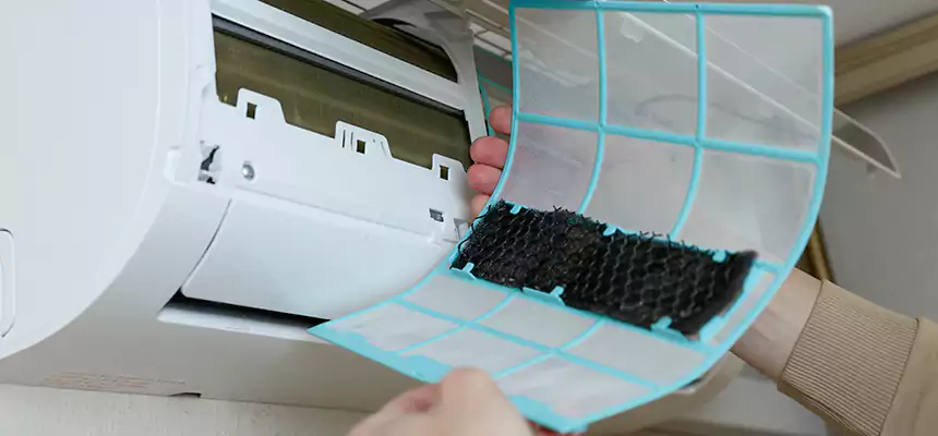 Gentle Ductwork Odor-Control Pet Dander Duct Cleaning in Newnan, GA