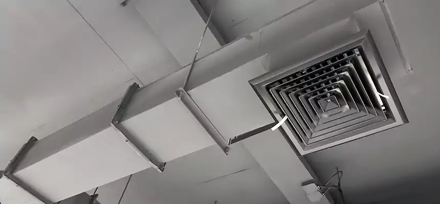 Our Rodent Droppings In Vents Services in Newnan, GA