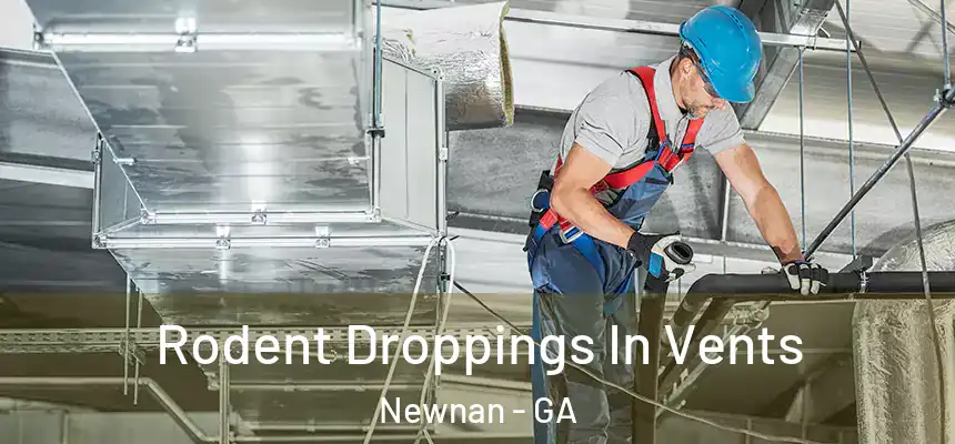  Rodent Droppings In Vents Newnan - GA