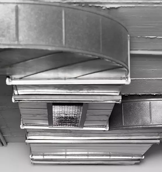 Professional Air Duct Pet Hair Removal in Newnan, GA