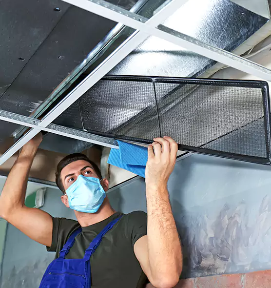 Professional Air Duct Pollen Cleaning in Newnan, GA