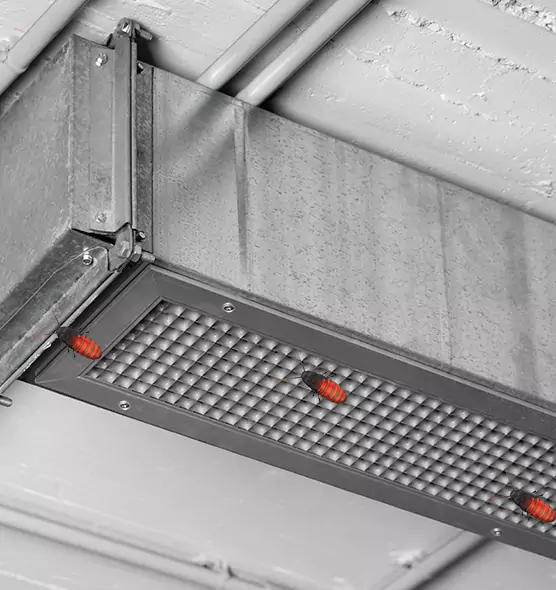 Affordable Insect Removal from Air Ducts in Newnan, GA