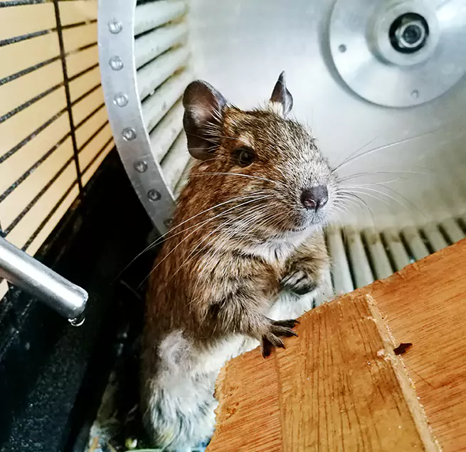 Why Homeowners & Businesses Trust Us Newnan, GA?