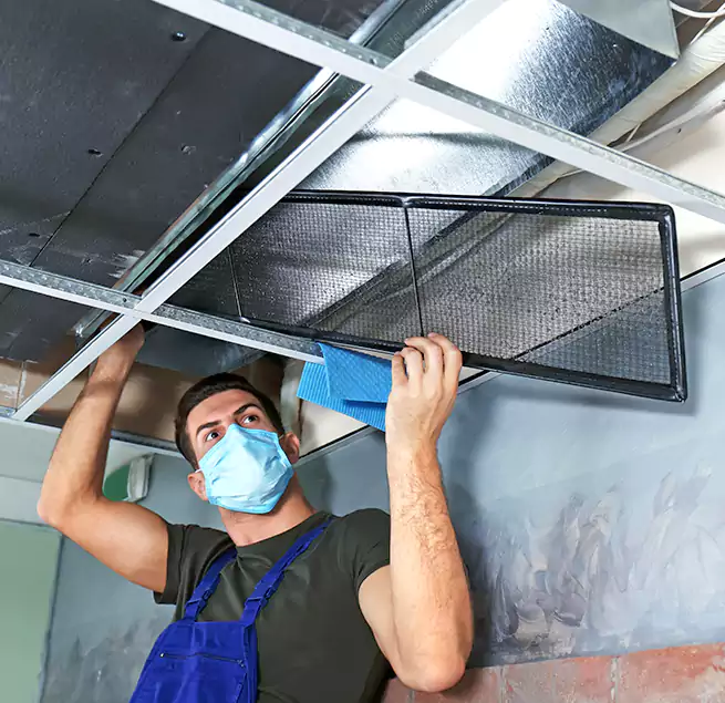 Why Homeowners Businesses Trust Us in Newnan, GA