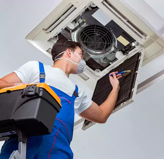 Why Homeowners & Businesses Trust Us in Newnan, GA?