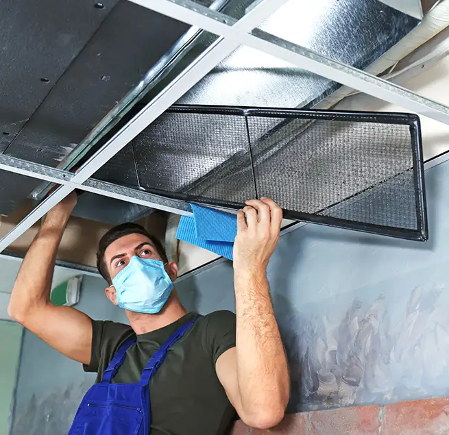 Why Homeowners & Businesses Trust Us in Newnan, GA?